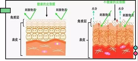 拒絕春季過敏、紅腫、發癢！敏感肌的救星來啦~