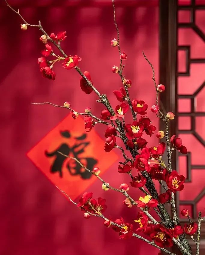 辭舊迎新，兔年納福，心懷熱愛，共赴山海！